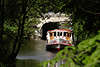 Schiff Alsterschippern im Wasserkanal Hamburg grne Naturidylle Bild vor Brcke