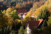 Harz Bergstadtidylle Feriendorf Bad Grund Hausdcher im goldenen Herbstwald