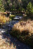 510655_Bergbach flieendes Wasser in Kurve unter Holzbrcke Naturfoto Harzreise in bunten Herbst
