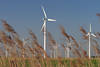 Windparks Dithmarscher Bauernrepublik Windmhlen Windkraftwerke Bilder Marschlandschaftsfotos