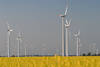 Dithmarschen Windkraftwerke Landschaft-Park Bild, Marschland Windmhlen ber Rapsfeld, Mhlen