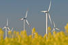 Windpark Mhle mit Flgel in Dithmarschen Landschaft Bild, Marschland Windmhlen ber Raps Felder