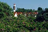 3612_ Leuchtturm Timmendorf Hausgiebel in Blumenpracht Insel Poel Kste am Meer