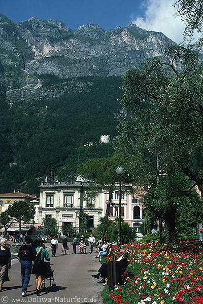 Riva Felskulisse Promenade Foto Blumenvielfalt Gardasee Touristen unter Bergwand