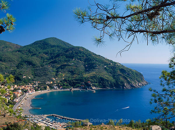 Levanto Fotos: Ligurien Azurkste Mittelmeer Urlaub Kleinstadt traumhafte Bucht an Cinque Terre