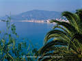 409004_Palmenbltter Foto vor Ligurien Mittelmeer Kstenpanorama mit Alassio Stadt an Azurwasser
