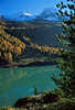 0814_Grner Zufrittsee Wasser mit Wald der Lrchenlandschaft Naturfoto buntn Herbstfarben unter blauen Bergspitzen der Zufrittgipfel