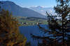 0721_ Reschensee Naturfoto Sdtirol Berge Gipfelblick durch Lrchenwald