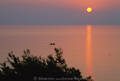 Ligurisches Meer Sonnenaufgang über Fischerboot auf See-Horizont Foto