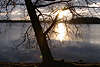 Salpia Krsten See Uferbaum Sonnenaufgang in Masuren Landschaft Prazmowo Mazury Legiener See Jagodne