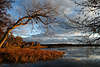 Morgensonne Rotlicht Stimmung in Rodenau Masuren Herbst am Wasser Bume Schilfufer Krsten See in Kozin Sonnenaufgang jezioro Jagodne Mazury