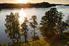 Wasserufer Bume in Sonne-Gegenlicht Masurens Hessensee Naturfoto Mazury jezioro Wojnowo sunset