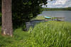 Czos-See Schilfufer Baum Wasser Boot Steg Naturidyll Foto in Sensburg Masuren Landschaft Bild