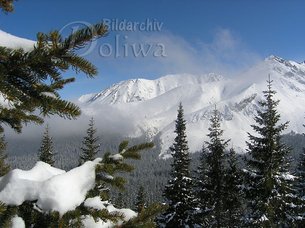 Winterromantik Naturbilder Hohe Tatra weisse Berge, Wald Bume in Schnee Landschaftsfotos