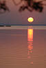 Sonnenball ber Wasser Landschaft Masuren Spirdingsee romantische Natur lila Farben gelbe Sonnenkugel