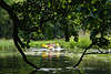 Flusslandschaft Krutynia Padelboot in Wasser-Dschungel Kajakfahrt durch urige Natur Baumzweige