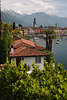906120_Ascona Foto Palmen rote Dcher in Bucht Lago Maggiore mit Bergeblick Reisebild