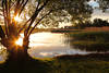 Seenlandschaft Masuren Sonnenuntergang Sterne in Wasser Uferbaum Gegenlicht Naturfoto