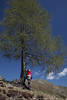 Frau Foto unterm Baum stehen Bergwanderer Naturportrt am Blauhimmel mit Bergsicht aktive Freizeit Momente