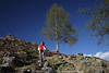Mdchen Bergwanderer Fotos Frau unter Baum am Himmel Bergaussicht Portrt Relax in Natur