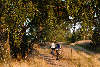 59275_ Paar Radfahrer durch Lneburger Heide Natur im Sonnenschein radeln