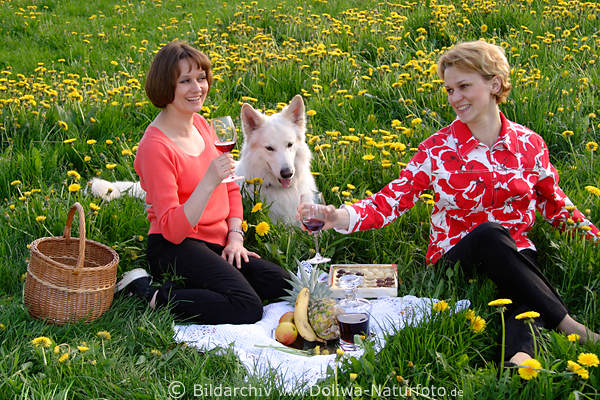Frauen-Picknick Blumenwiese Gelbbltenfeld Hund Obstdecke Frhlingsgrn