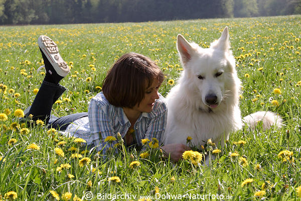 Hund mit Frauchen Foto im Frühling Blütenfeld, Frau mit Weißer
