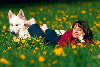 Frau Fsse auf Hund liegen in Blumenfeld Gelbblten Grngras
