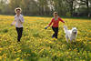 Girls-Blumenlauf mit Hund in Bltenfeld gelber Frhlingswiese Frauenpaar Spass in Natur