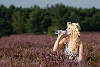Blondine in Heidebltenfeld trinkt aus Wasserflasche