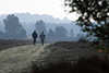 00427_ Spaziergnger Paar Foto auf Weg gehen energisch in Ferne spazieren vor Baumkonturen in Natur