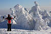 101912_Mdchen im Skianzug, lustiger Vergleich in frostigen Natur, schwarz-rot vor schneeweien Riesen