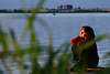 58191_ Frau romantischer Abend am See in rot Abendsonne, vertrumt am Steg hinter Schilf am Seeufer