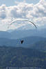 1201067_ Paragliding in Wolken ber Alpengipfel Flugfoto schemenhafte Bergwellen Panorama Bild Flieger unter Gleitschirm