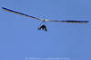 1202402_Jumbodrache Silhouette Bild am Blauhimmel Flieger im Dreieck des Steuerrahmens
