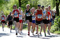 Marathon Hamburg Lufer Bild in Gegenlicht Steffen, Derk, Olaf, Werner & Hans