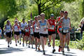 Hamburger Frhling-Lauffoto Marathon Lufergruppe Sportbild in grner Alsterallee