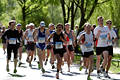 Marathon Frhlingslauf in Alsterallee Jogger Laufbild Niels Asbjorn 1861, Michael 1264, Michael 3954, Andreas 1019l