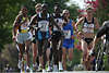 Marathonlaufbild: Spitzenluferinnen Frauenlaufgruppe Fotografie in Alsterallee laufen mit 2 Mnner
