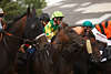 Jockey Viktor Schulepov auf Zinderella Rennpferd & Adrie de Vries auf Crossbill (GB) Pferderennen Bild