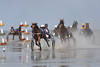 Wattrennen Pferde-Sulky 7-Traber Wettlauf Aktionbild in Ebbe-Wasser
