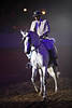 Saaleknig Trakehner Pferd weiss in Blaulicht wie Zorro GalaShow Foto Argentinier Kavalier-Reiter