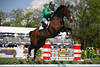 Pferd Hochflug Sprungdynamik Bild Springreiter Aktionfoto vor Derby Baumkulisse