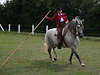 000403_Pferde-Stiertanz Schaubild prsentiert von Reiterin auf Weissgrauen Barockpferd