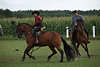 000454_Stiertanz Photo Prsentation Barockpferd Reiter mit Lanzen spanisches Reitkleid