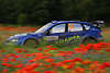 Ostberg Subaru Foto in Blumen Masuren Dynamik Autorennen Sportfoto Rennstrecke durch Bltenfeld