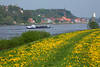 Elbdeich-Frühlingsblüte vor Lauenburg Fluss Schiff