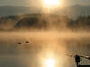 Nebelschwaden Goldsonne ber See Wasser Naturbild Angel Bergblick gelb Nebelstimmung Spiegelung