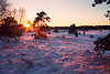 3069_Winter Romantik Sonne strahlen ber Schnee lila-rot Farbe Bume Landschaft Naturbild