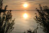 Sonnenuntergang ber Wasser Sonnenkugel Gegenlicht Spiegelung in Schwenzait-See Naturufer